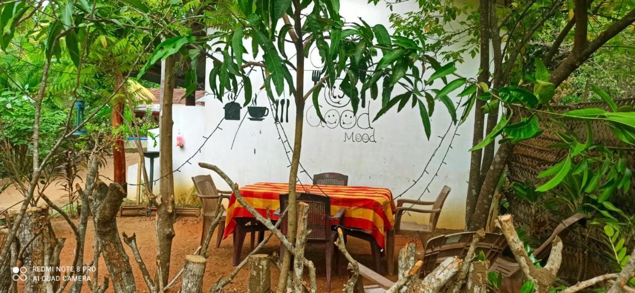 Sigiri Picaso Home Stay Сигирия Экстерьер фото