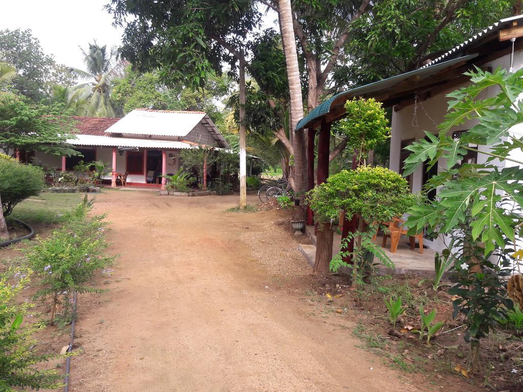 Sigiri Picaso Home Stay Сигирия Экстерьер фото