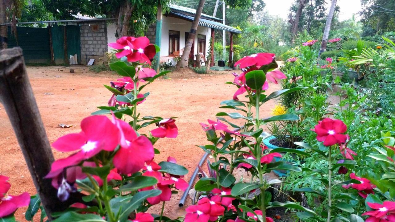Sigiri Picaso Home Stay Сигирия Экстерьер фото