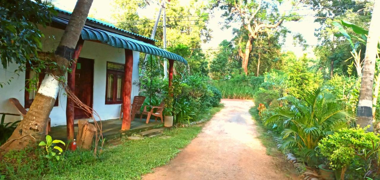 Sigiri Picaso Home Stay Сигирия Экстерьер фото